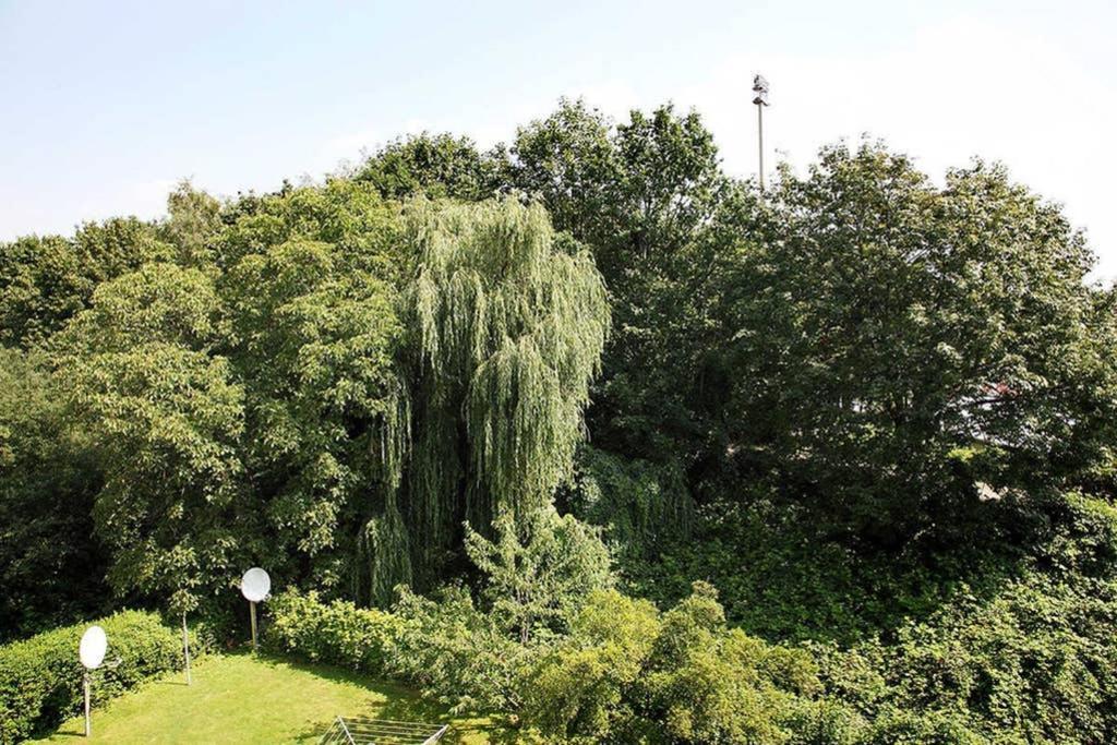 City Apartments Cologne - Apartment 2 外观 照片